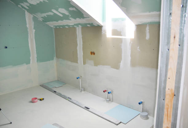 Best Black Mold Removal  in Arlington, NE