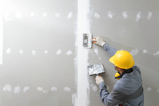 Best Comprehensive Air Testing for Mold Contaminants  in Arlington, NE