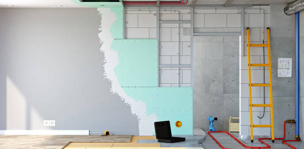 Best Post-Construction Mold Inspection  in Arlington, NE