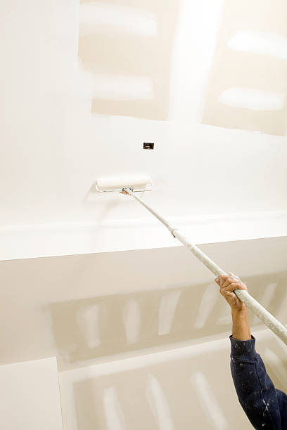 Best Biohazard Mold Removal  in Arlington, NE