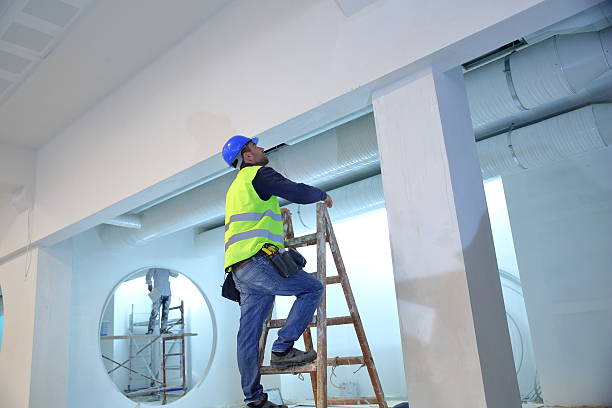 Best Real Estate Mold Inspection  in Arlington, NE