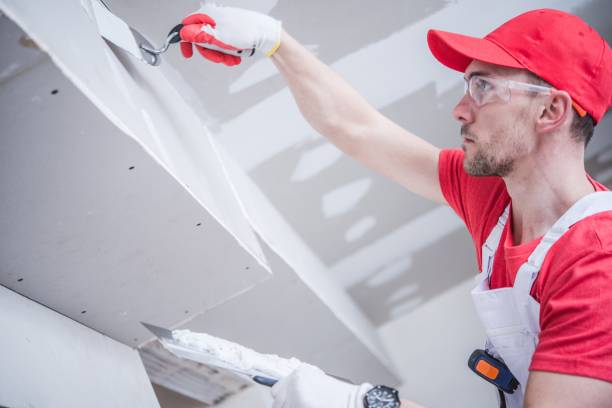 Best Basement Mold Removal  in Arlington, NE